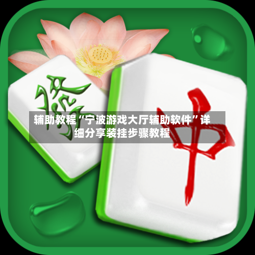 辅助教程“宁波游戏大厅辅助软件”详细分享装挂步骤教程-第2张图片