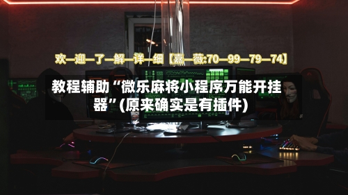 教程辅助“微乐麻将小程序万能开挂器”(原来确实是有插件)-第2张图片