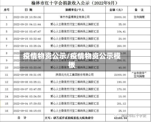 疫情物资公示/疫情物资公示模板-第1张图片