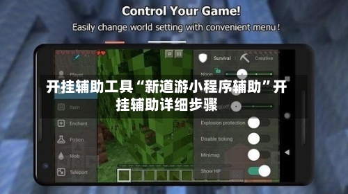 开挂辅助工具“新道游小程序辅助”开挂辅助详细步骤-第1张图片