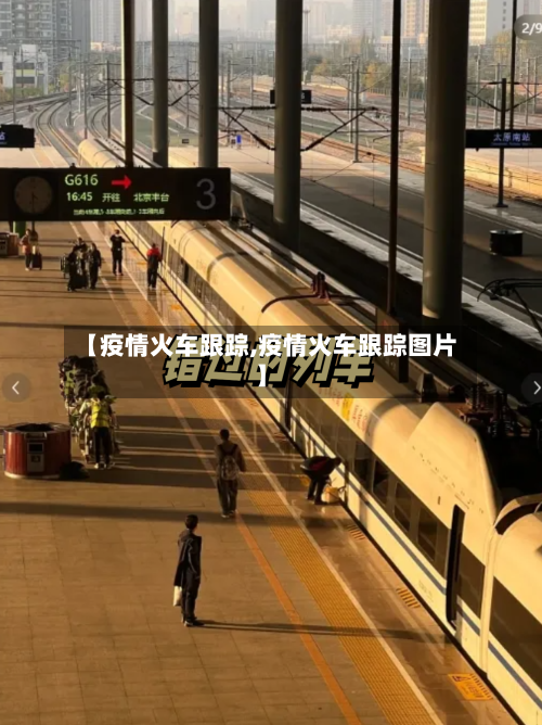 【疫情火车跟踪,疫情火车跟踪图片】-第2张图片