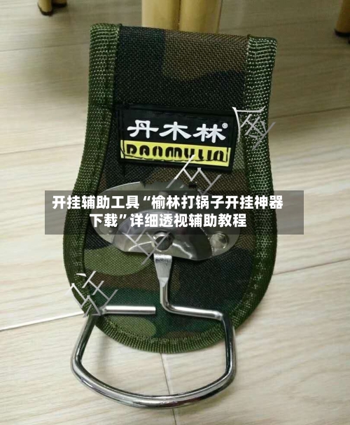 开挂辅助工具“榆林打锅子开挂神器下载	”详细透视辅助教程-第2张图片
