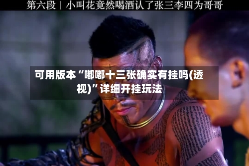 可用版本“嘟嘟十三张确实有挂吗(透视)	”详细开挂玩法-第1张图片