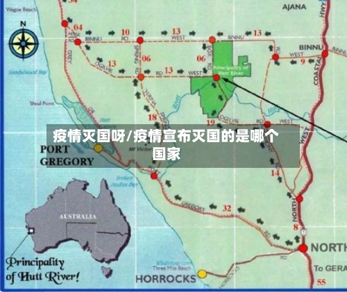 疫情灭国呀/疫情宣布灭国的是哪个国家-第1张图片