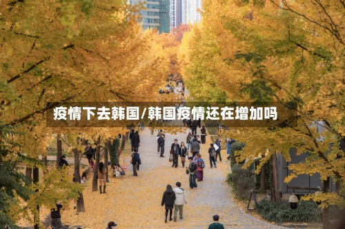 疫情下去韩国/韩国疫情还在增加吗-第1张图片