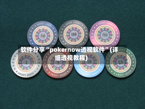 软件分享“pokernow透视软件”(详细透视教程)-第1张图片