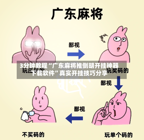 3分钟教程“广东麻将推倒胡开挂神器下载软件”真实开挂技巧分享-第3张图片