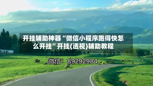 开挂辅助神器“微信小程序跑得快怎么开挂”开挂(透视)辅助教程-第2张图片