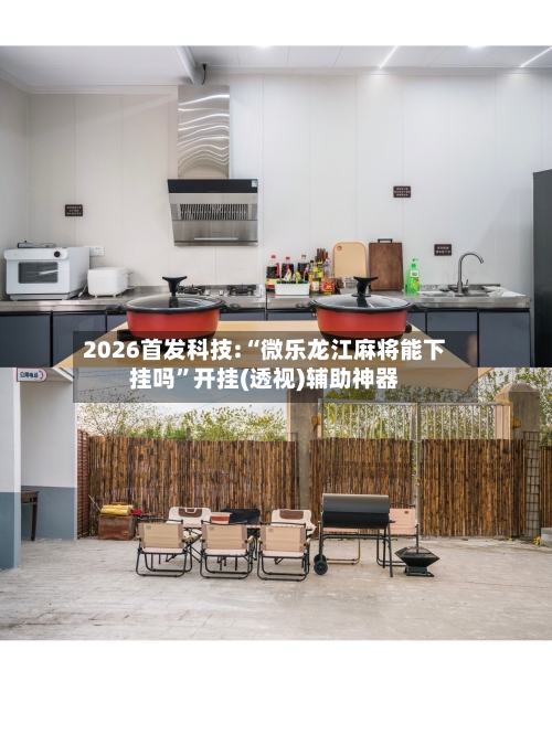 2026首发科技:“微乐龙江麻将能下挂吗”开挂(透视)辅助神器-第1张图片