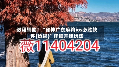 教程辅助！“雀神广东麻将ios必胜软件(透视)	”详细开挂玩法-第1张图片