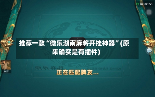 推荐一款“微乐湖南麻将开挂神器”(原来确实是有插件)-第2张图片
