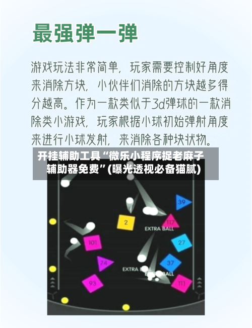 开挂辅助工具“微乐小程序捉老麻子辅助器免费”(曝光透视必备猫腻)-第3张图片