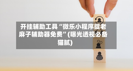 开挂辅助工具“微乐小程序捉老麻子辅助器免费	”(曝光透视必备猫腻)-第2张图片