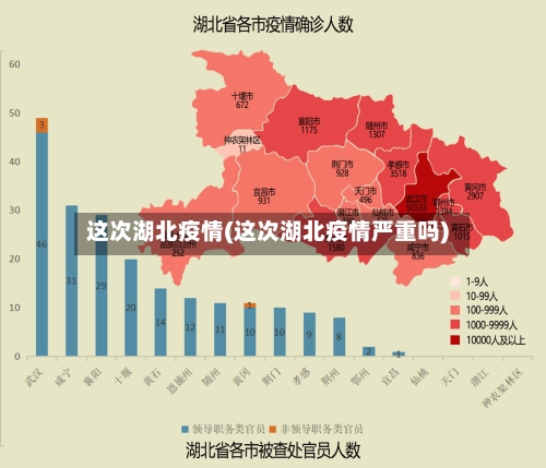 这次湖北疫情(这次湖北疫情严重吗)-第2张图片