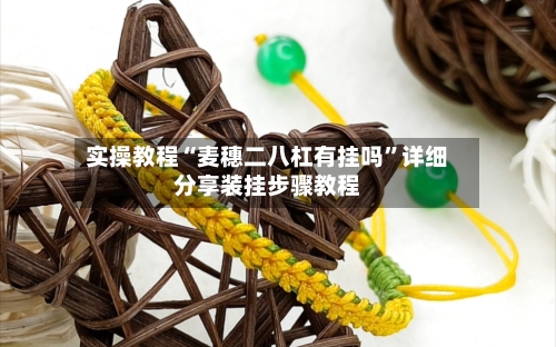 实操教程“麦穗二八杠有挂吗”详细分享装挂步骤教程-第2张图片