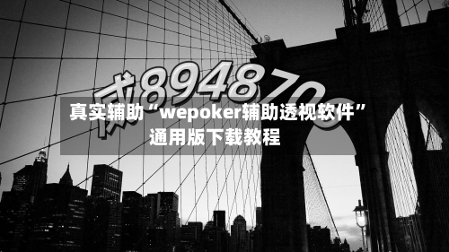 真实辅助“wepoker辅助透视软件”通用版下载教程-第1张图片