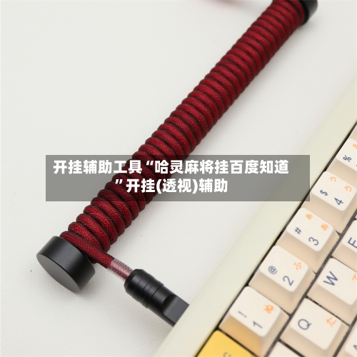 开挂辅助工具“哈灵麻将挂百度知道”开挂(透视)辅助-第2张图片