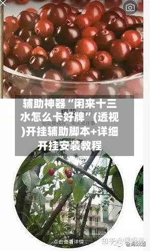 辅助神器“闲来十三水怎么卡好牌	”(透视)开挂辅助脚本+详细开挂安装教程-第2张图片