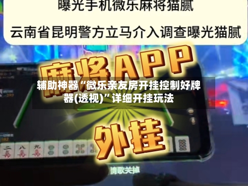 辅助神器“微乐亲友房开挂控制好牌器(透视)	”详细开挂玩法-第2张图片