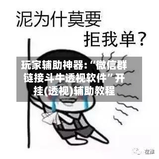 玩家辅助神器:“微信群链接斗牛透视软件”开挂(透视)辅助教程-第1张图片