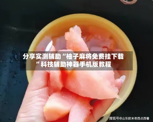 分享实测辅助“柚子麻将免费挂下载	”科技辅助神器手机版教程-第1张图片