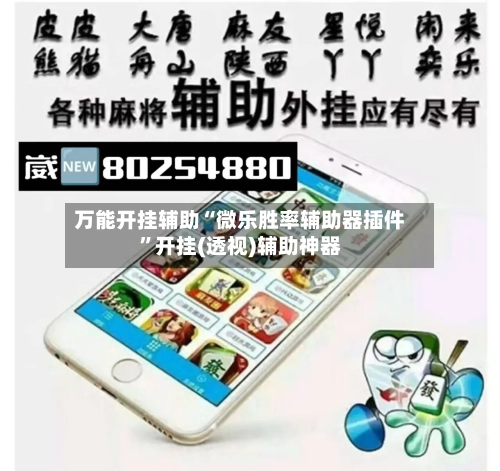 万能开挂辅助“微乐胜率辅助器插件”开挂(透视)辅助神器-第3张图片