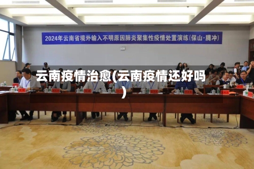 云南疫情治愈(云南疫情还好吗)-第1张图片