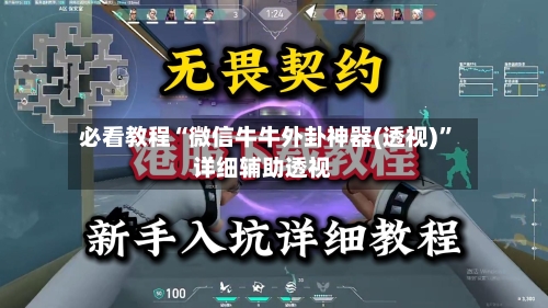 必看教程“微信牛牛外卦神器(透视)”详细辅助透视-第1张图片