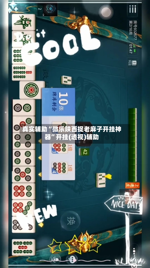 真实辅助“微乐陕西捉老麻子开挂神器”开挂(透视)辅助-第2张图片