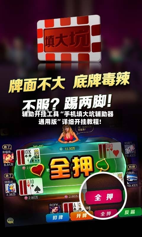 辅助开挂工具“手机填大坑辅助器通用版	”详细开挂教程!-第3张图片