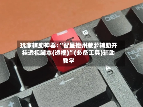 玩家辅助神器:“智星德州菠萝辅助开挂透视脚本(透视)”(必备工具)辅助教学-第2张图片