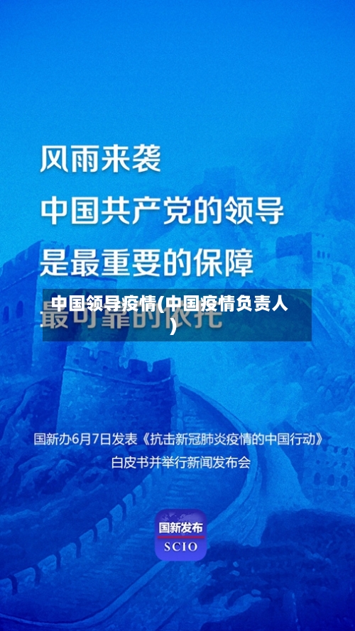 中国领导疫情(中国疫情负责人)-第2张图片