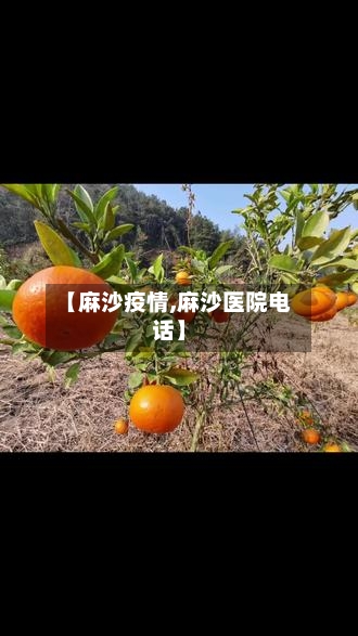 【麻沙疫情,麻沙医院电话】-第2张图片