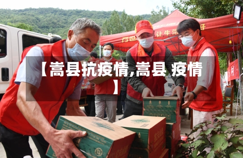 【嵩县抗疫情,嵩县 疫情】-第2张图片