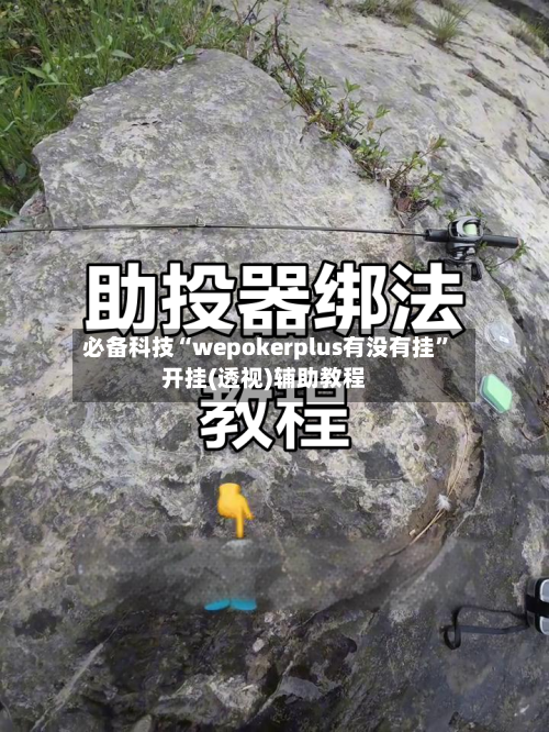 必备科技“wepokerplus有没有挂	”开挂(透视)辅助教程-第2张图片