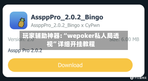 玩家辅助神器:“wepoker私人局透视”详细开挂教程-第3张图片