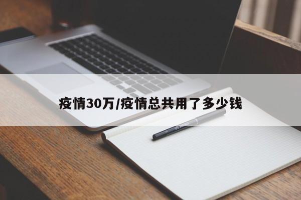 疫情30万/疫情总共用了多少钱